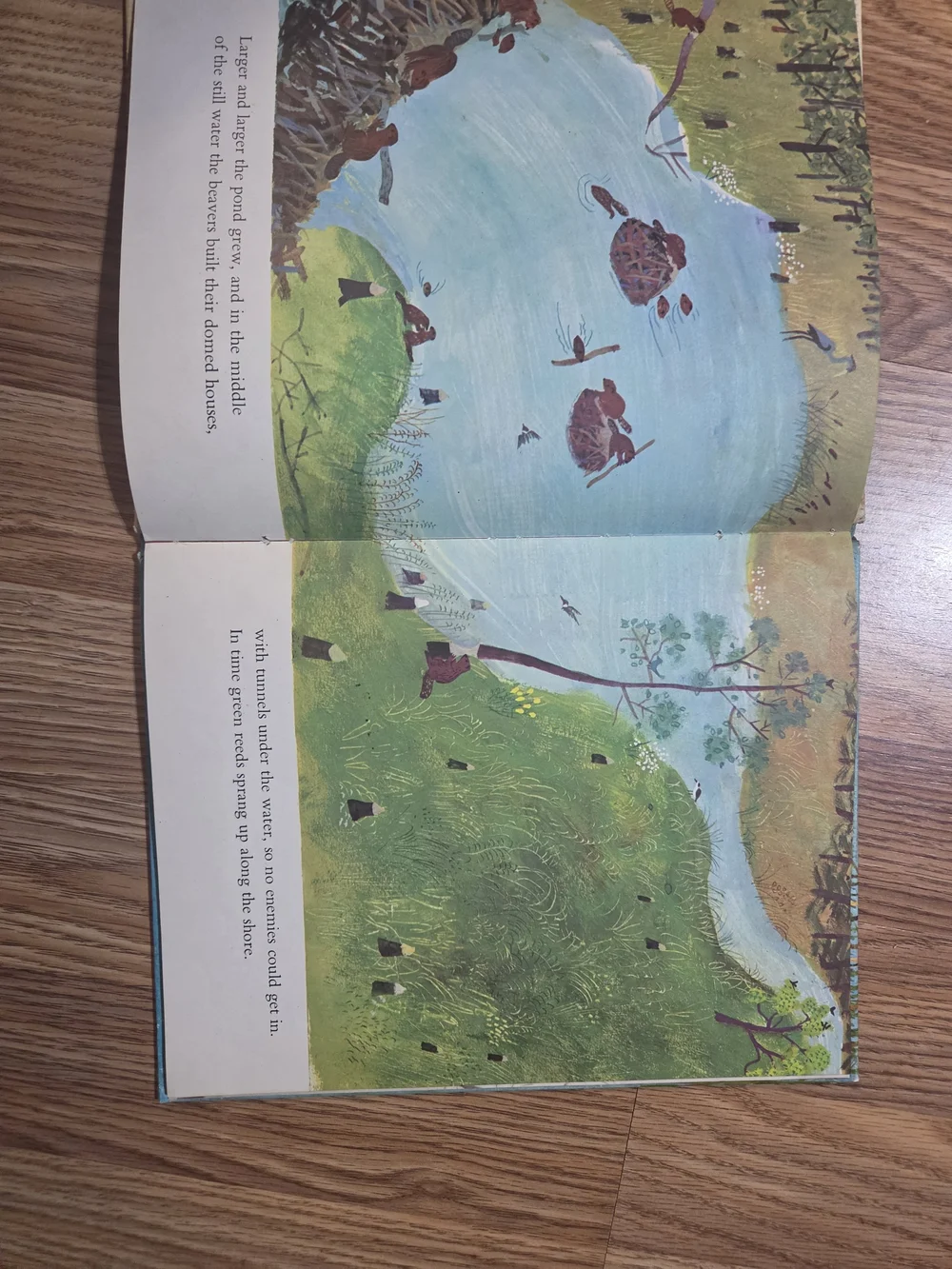 Vintage Childrens Book 1970's The Beaver Pond